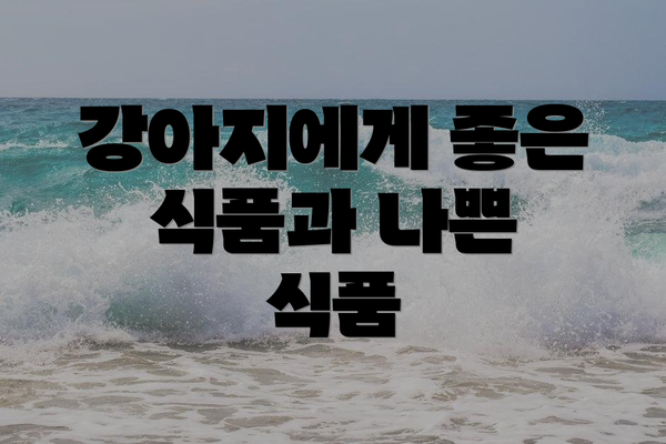 강아지에게 좋은 식품과 나쁜 식품