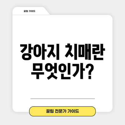 강아지 치매란 무엇인가?