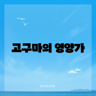 고구마의 영양가