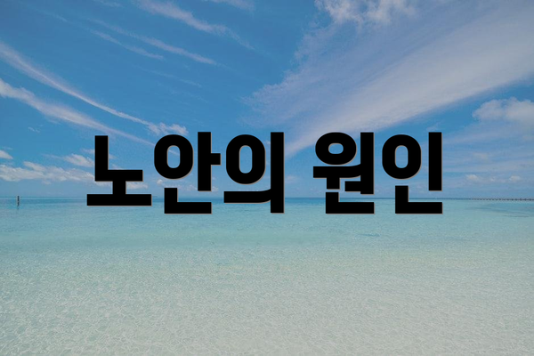 노안의 원인