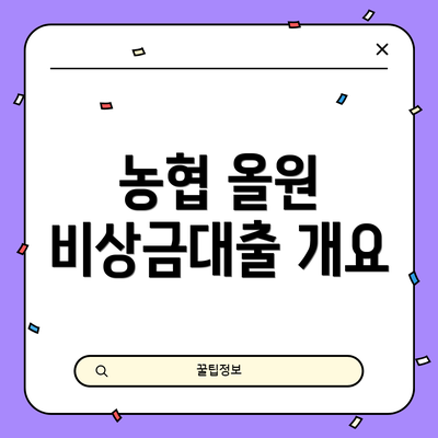 농협 올원 비상금대출 개요