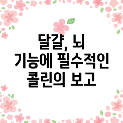 달걀, 뇌 기능에 필수적인 콜린의 보고
