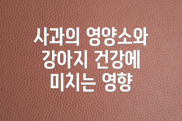 사과의 영양소와 강아지 건강에 미치는 영향