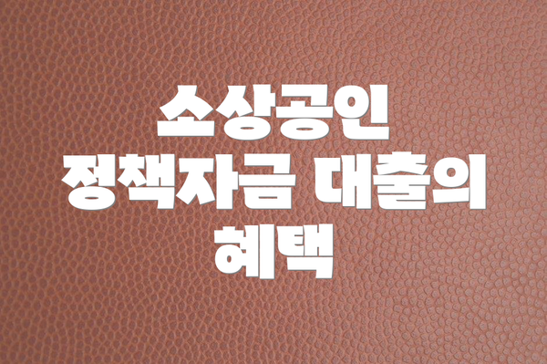 소상공인 정책자금 대출의 혜택