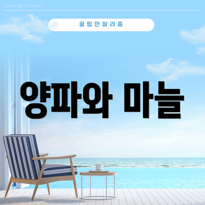 양파와 마늘