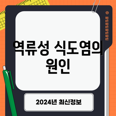 역류성 식도염의 원인