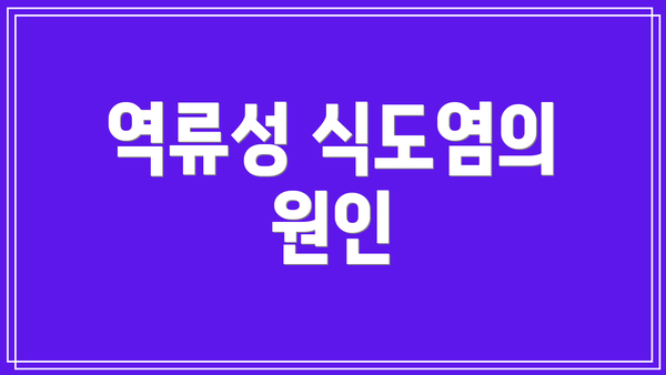 역류성 식도염의 원인