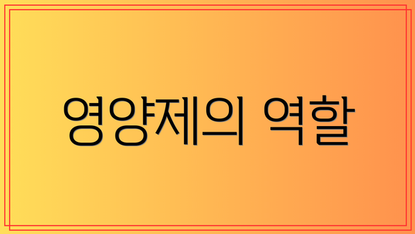 영양제의 역할