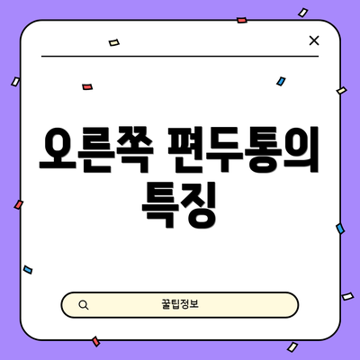 오른쪽 편두통의 특징