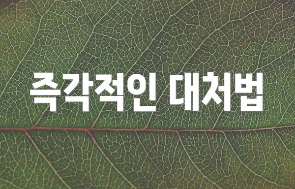 즉각적인 대처법