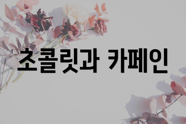 초콜릿과 카페인
