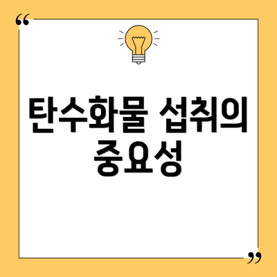 탄수화물 섭취의 중요성