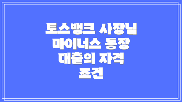 토스뱅크 사장님 마이너스 통장 대출의 자격 조건