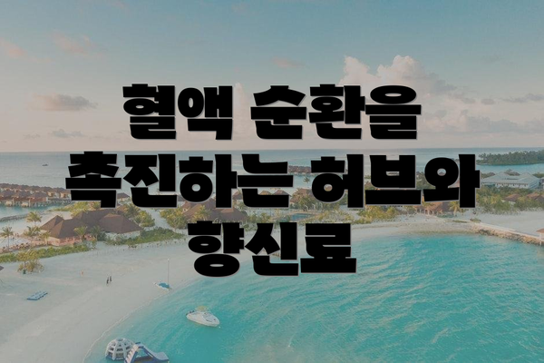 혈액 순환을 촉진하는 허브와 향신료