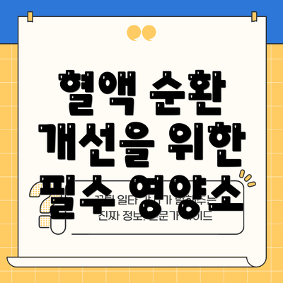 혈액 순환 개선을 위한 필수 영양소
