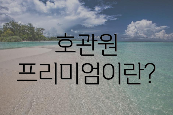 호관원 프리미엄이란?
