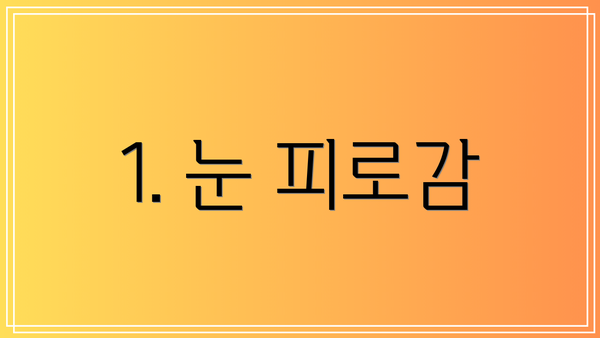 1. 눈 피로감