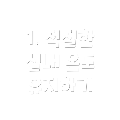 1. 적절한 실내 온도 유지하기