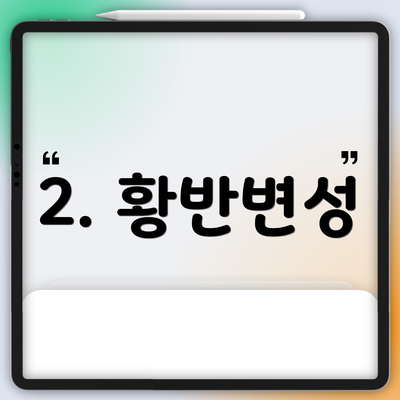 2. 황반변성