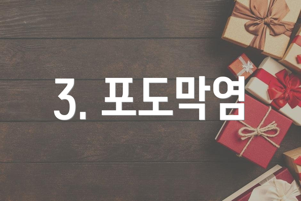 3. 포도막염