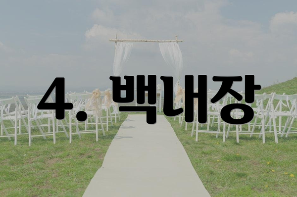 4. 백내장