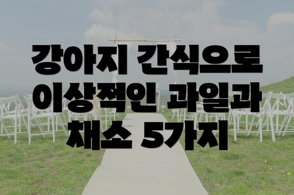 강아지 간식으로 이상적인 과일과 채소 5가지