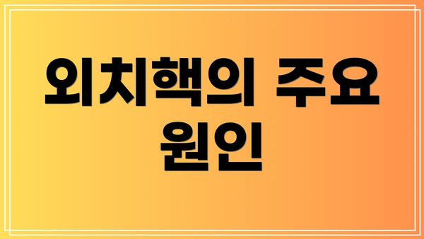 외치핵의 주요 원인