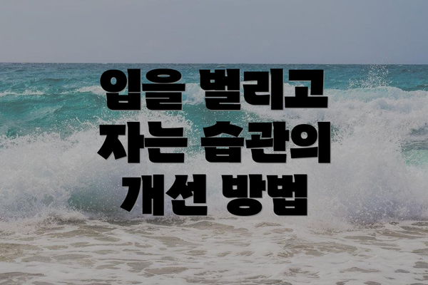 입을 벌리고 자는 습관의 개선 방법