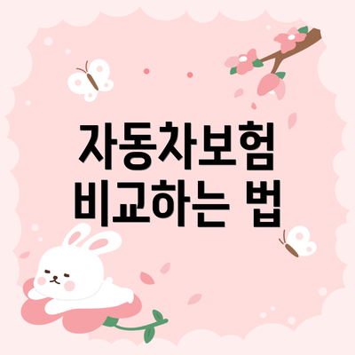 자동차보험 비교하는 법