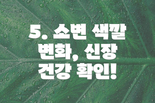 5. 소변 색깔 변화, 신장 건강 확인!