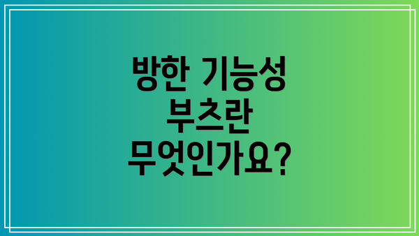 방한 기능성 부츠란 무엇인가요?