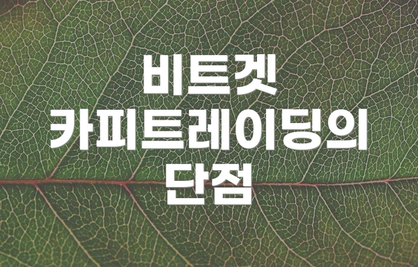 비트겟 카피트레이딩의 단점