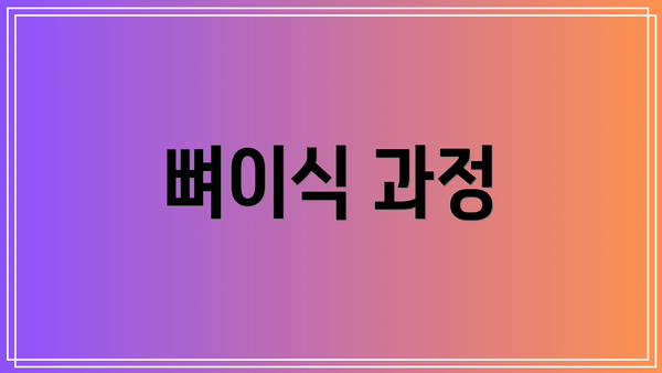 뼈이식 과정