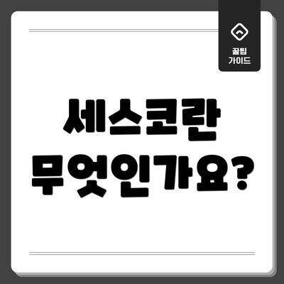 세스코란 무엇인가요?