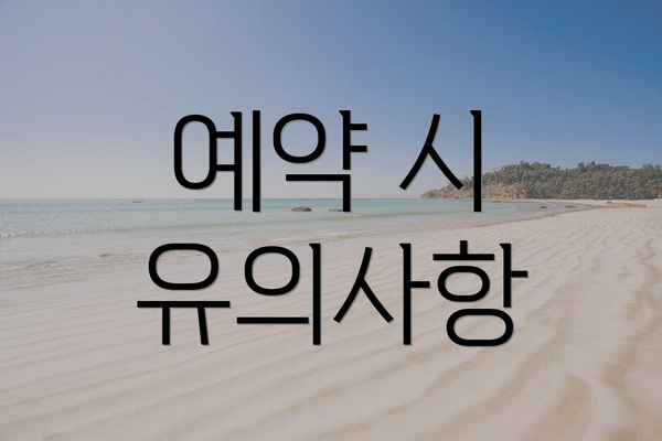 예약 시 유의사항