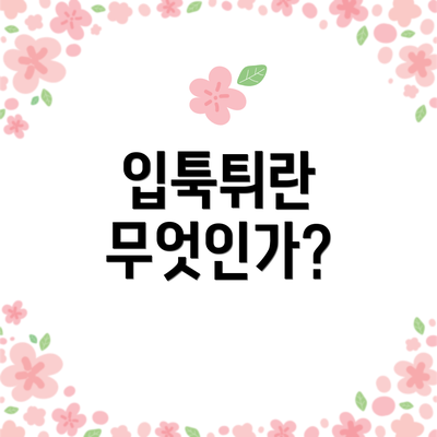 입툭튀란 무엇인가?