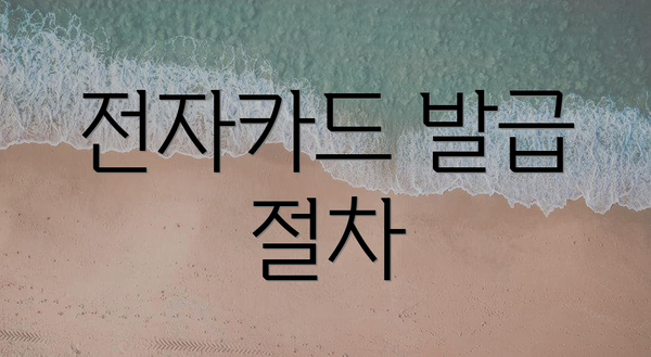전자카드 발급 절차