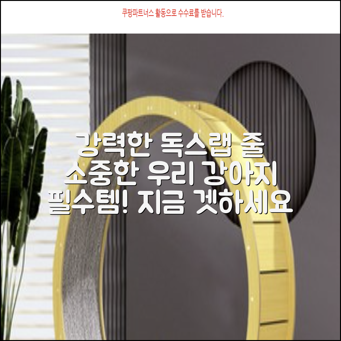 독스랩 1.5m 2m 3m 5m 스트롱 로프 소형견 중형견 대형견 줄 강아지 리드줄 산책줄, 블랙, 1개 추천 리뷰