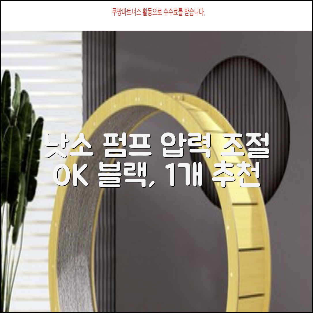 낫소 양방향 압력게이지 펌프, 블랙, 1개 추천 리뷰