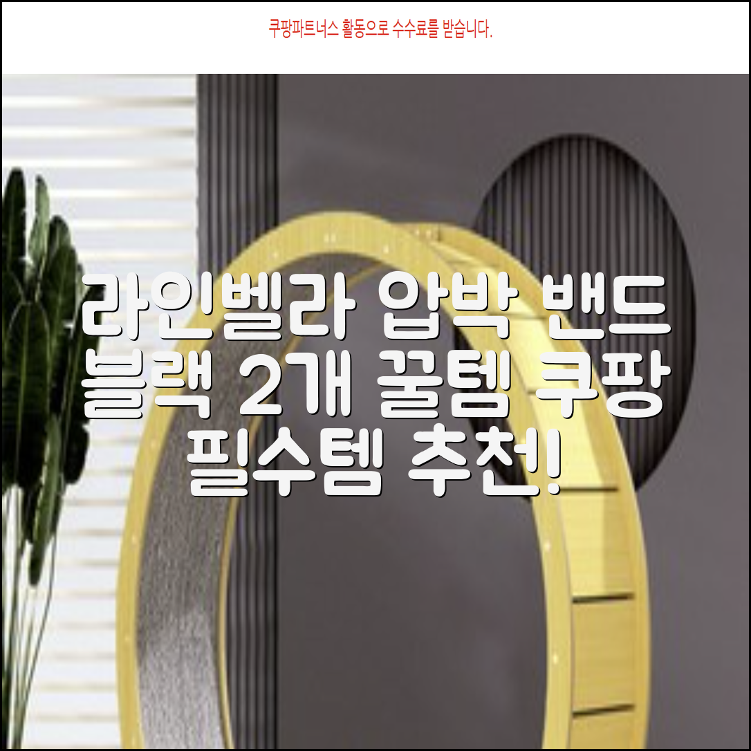 라인벨라 의료용 손목 압박용 밴드 블랙, 2개 추천 리뷰