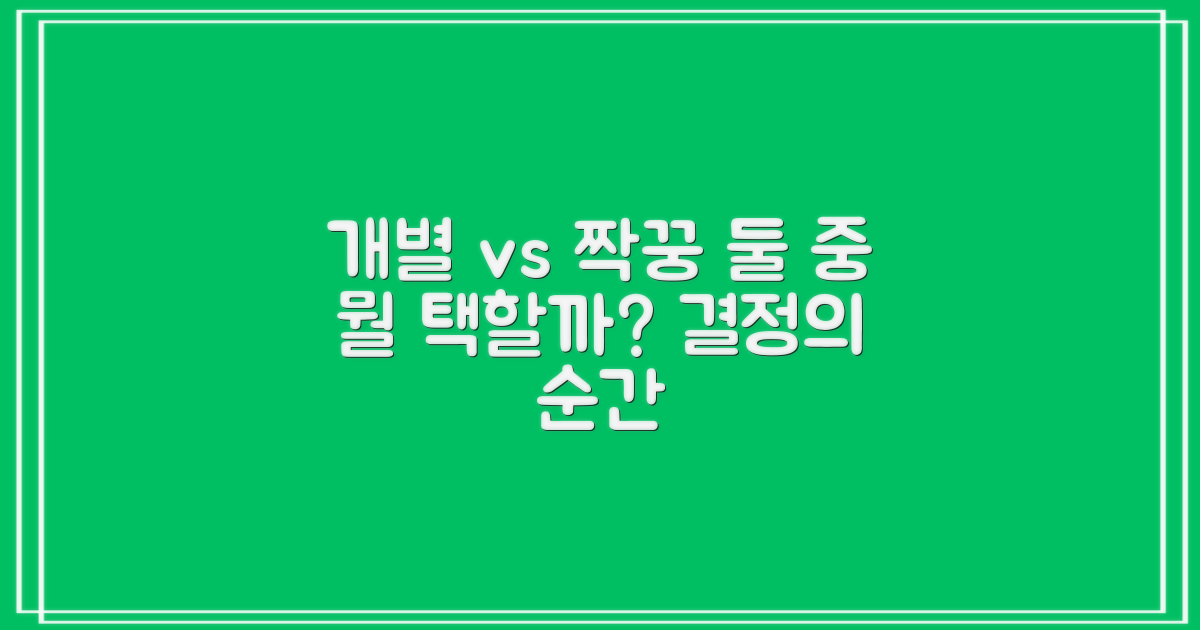 2개 구성: 개별 vs 짝꿍