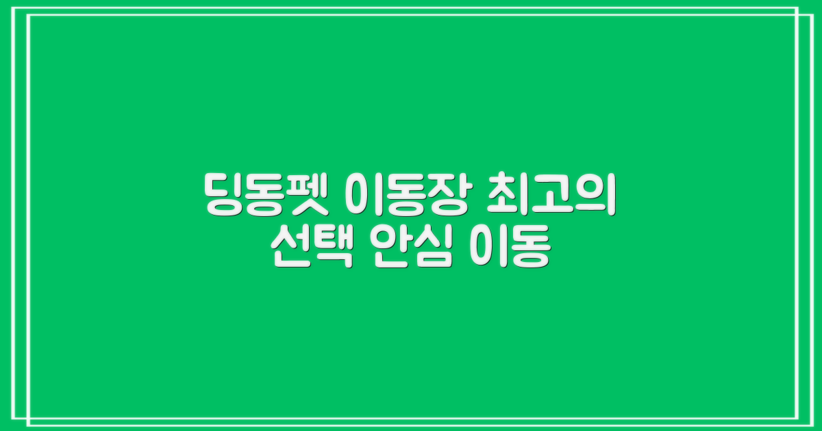 딩동펫 이동장, 최적의 선택