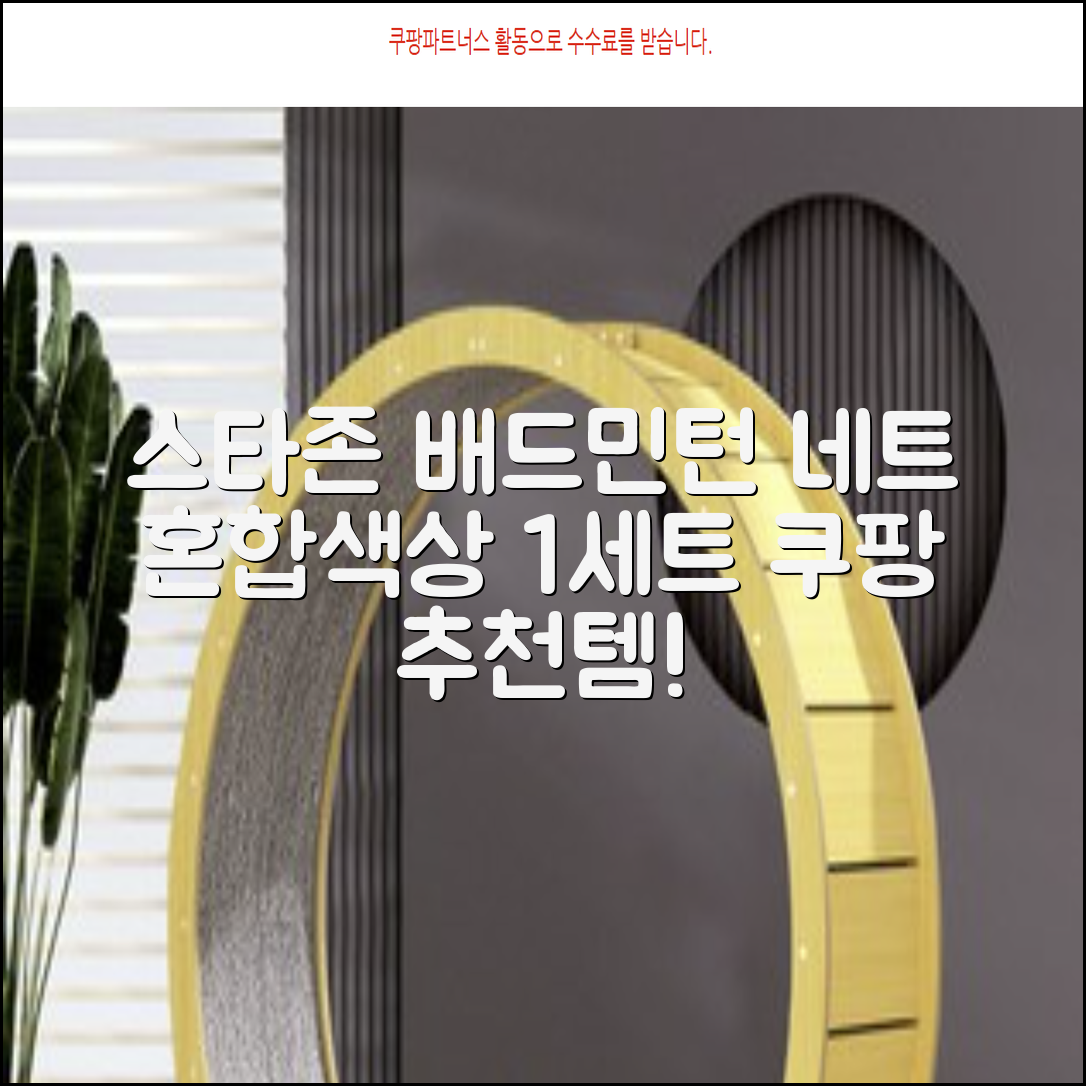 스타존 배드민턴 그물 네트 + 가방, 혼합색상, 1세트 추천 리뷰