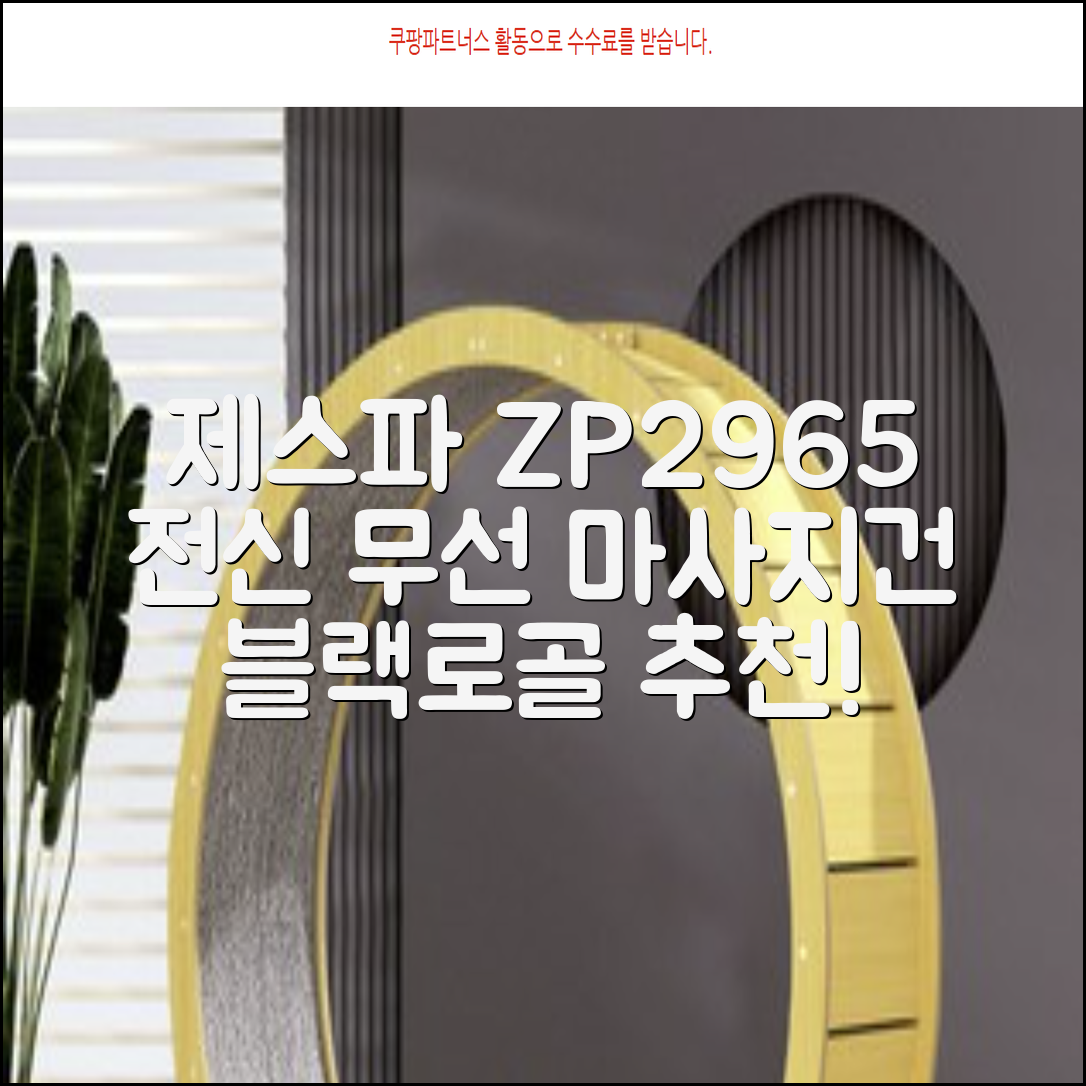 제스파 클래식 전신 무선 자동 마사지건 목어깨 안마기 ZP2965, 블랙 + 로즈골드 추천 리뷰