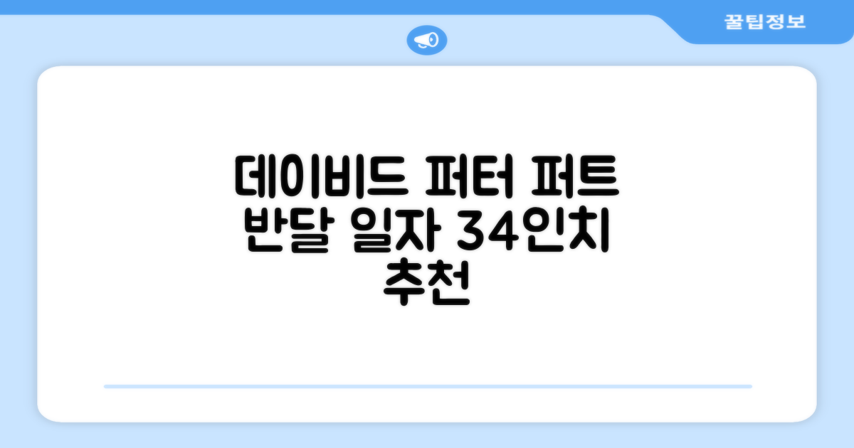 데이비드 프리미엄 투어 퍼터 말렛 블레이드 + 자석티 증정 퍼트 반달 일자, 34인치 추천 리뷰