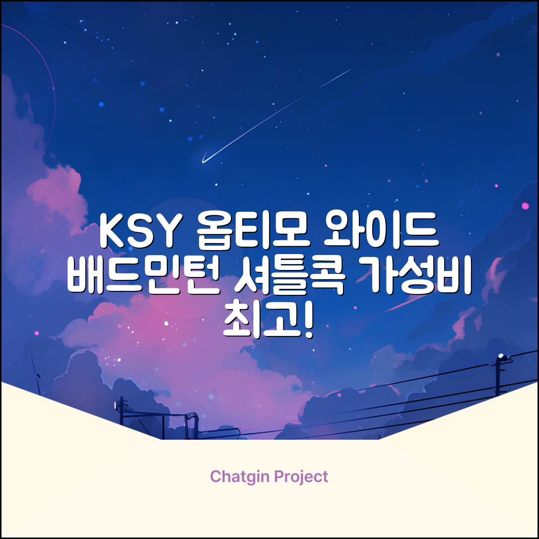 ksy 옵티모 와이드 배드민턴 셔틀콕, 화이트, 12개입, 1개 추천 리뷰
